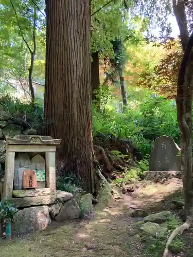 臨済寺のその他建物