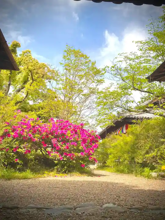 海龍王寺(奈良県)