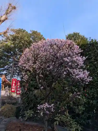 中野沼袋氷川神社(東京都)