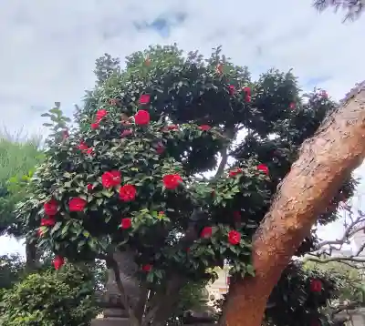 禅定院の{uncategorized: "未分類", other: "その他", undefined: "問題あり", building: "その他建物", grave: "お墓", sacred_gate: "鳥居", guardian: "狛犬", statue: "像", buddha: "仏像", history: "歴史", nature: "自然", garden: "庭園", animal: "動物", pagoda: "塔", temizu: "手水舎", mountain_gate: "山門・神門", sanctuary: "本殿・本堂", subordinate: "末社・摂社", art: "芸術", scenery: "景色", jizo: "地蔵", ema: "絵馬", goshuin: "御朱印", omikuji: "おみくじ", items: "授与品その他", amulet: "お守り", goshuincho: "御朱印帳", eats: "食事", festival: "お祭り", votive_dance: "神楽", shichigosan: "七五三参", wedding: "結婚式", experience: "体験その他", initially: "初詣", around: "周辺", anti_infection: "感染症対策"}