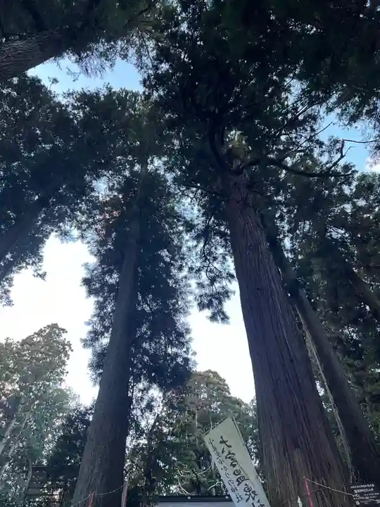 大宮温泉神社(栃木県)