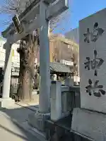 柏神社の{uncategorized: "未分類", other: "その他", undefined: "問題あり", building: "その他建物", grave: "お墓", sacred_gate: "鳥居", guardian: "狛犬", statue: "像", buddha: "仏像", history: "歴史", nature: "自然", garden: "庭園", animal: "動物", pagoda: "塔", temizu: "手水舎", mountain_gate: "山門・神門", sanctuary: "本殿・本堂", subordinate: "末社・摂社", art: "芸術", scenery: "景色", jizo: "地蔵", ema: "絵馬", goshuin: "御朱印", omikuji: "おみくじ", items: "授与品その他", amulet: "お守り", goshuincho: "御朱印帳", eats: "食事", festival: "お祭り", votive_dance: "神楽", shichigosan: "七五三参", wedding: "結婚式", experience: "体験その他", initially: "初詣", around: "周辺", anti_infection: "感染症対策"}