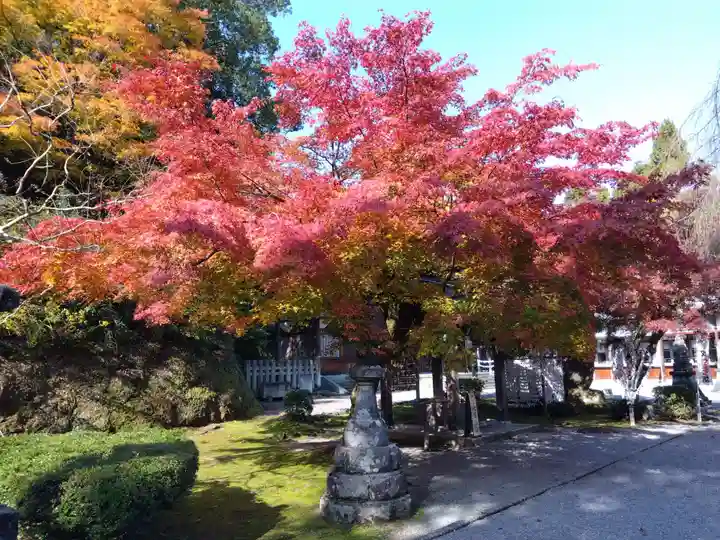 足羽神社(福井県)