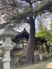 三寳寺(東京都)