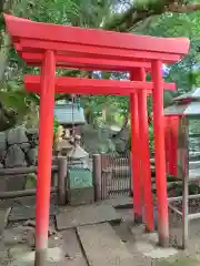 浄瑠璃寺(愛媛県)