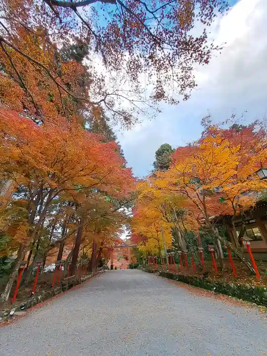 日吉大社(滋賀県)