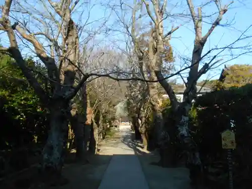 極楽寺（霊鷲山感應院極楽律寺）の景色