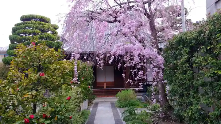 清蓮寺の本殿・本堂