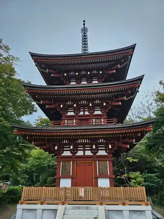岡寺(龍蓋寺)(奈良県)