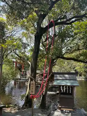 平塚八幡宮(神奈川県)