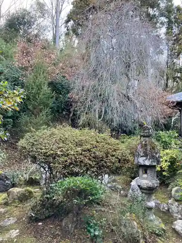 妙巌寺の庭園