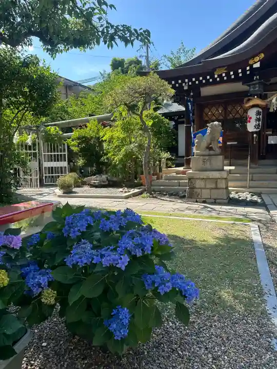 一宮神社(兵庫県)