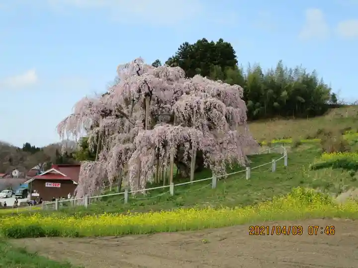 田村大元神社の自然
