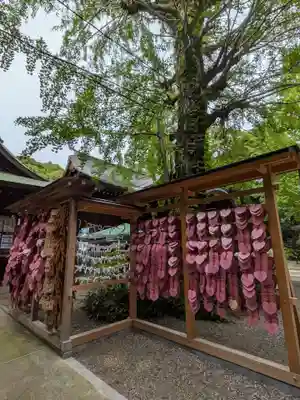 渋谷氷川神社(東京都)