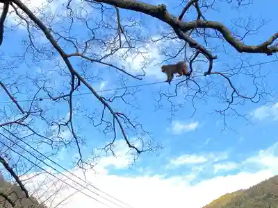 智寂坊(山梨県)