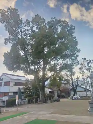 本莊神社(岐阜県)