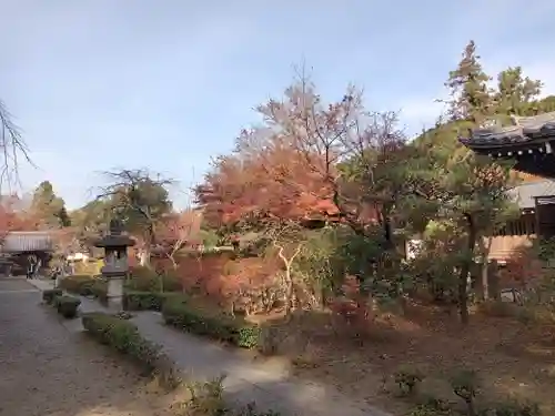 延命寺の庭園