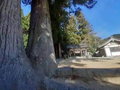 國造神社(奈良県)