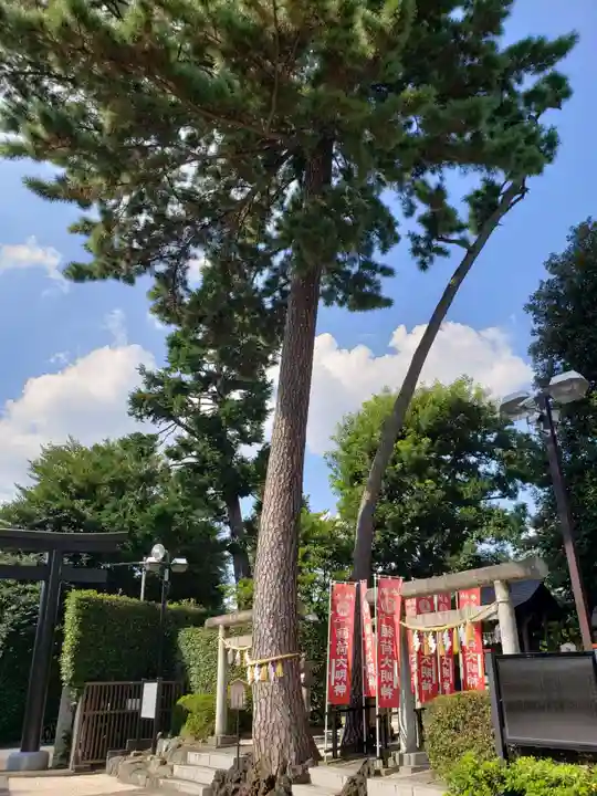 中野沼袋氷川神社(東京都)