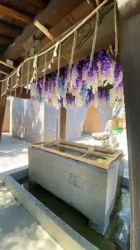 鳥飼八幡宮の{uncategorized: "未分類", other: "その他", undefined: "問題あり", building: "その他建物", grave: "お墓", sacred_gate: "鳥居", guardian: "狛犬", statue: "像", buddha: "仏像", history: "歴史", nature: "自然", garden: "庭園", animal: "動物", pagoda: "塔", temizu: "手水舎", mountain_gate: "山門・神門", sanctuary: "本殿・本堂", subordinate: "末社・摂社", art: "芸術", scenery: "景色", jizo: "地蔵", ema: "絵馬", goshuin: "御朱印", omikuji: "おみくじ", items: "授与品その他", amulet: "お守り", goshuincho: "御朱印帳", eats: "食事", festival: "お祭り", votive_dance: "神楽", shichigosan: "七五三参", wedding: "結婚式", experience: "体験その他", initially: "初詣", around: "周辺", anti_infection: "感染症対策"}