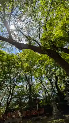 松ヶ崎大黒天 妙圓寺（妙円寺）(京都府)