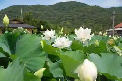 浄名寺(山口県)