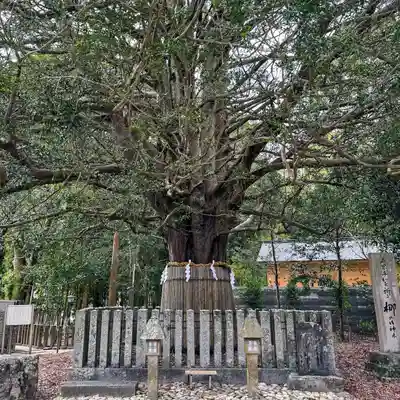 熊野速玉大社(和歌山県)