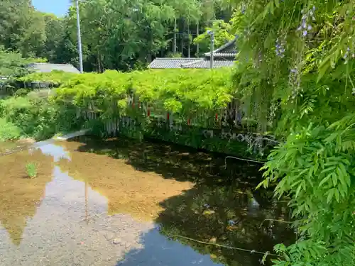 西寒多神社(大分県)