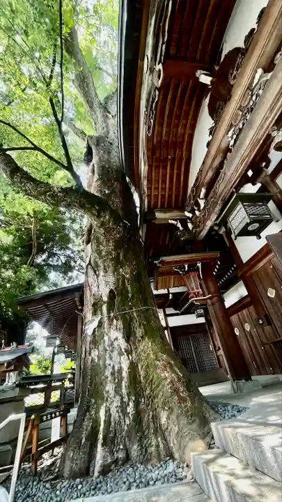 冨士山稲荷神社(長野県)