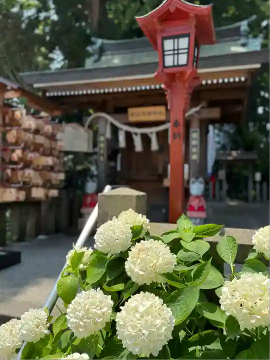 川越八幡宮(埼玉県)