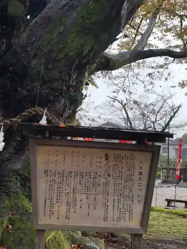 秩父今宮神社の歴史