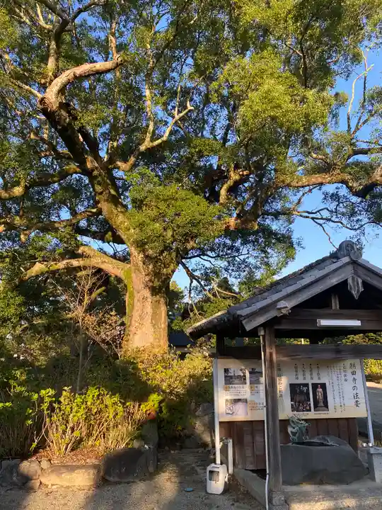 朝田寺(三重県)