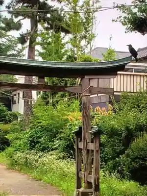 田端神社(東京都)