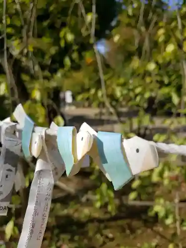 鳩森八幡神社のおみくじ