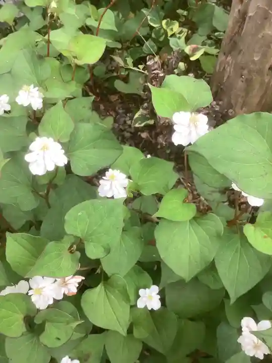 桂昌寺(岐阜県)