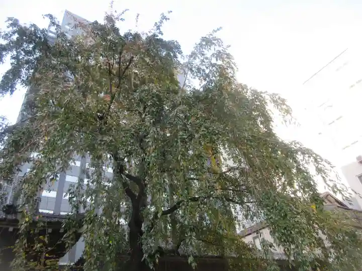 光専寺(東京都)