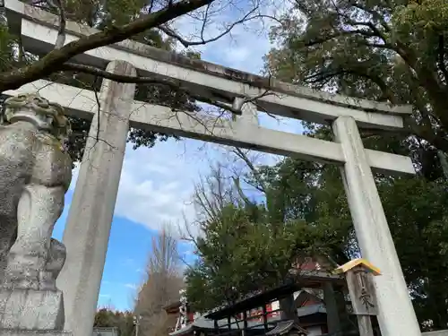 秩父神社の鳥居