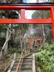 歳徳神社の鳥居