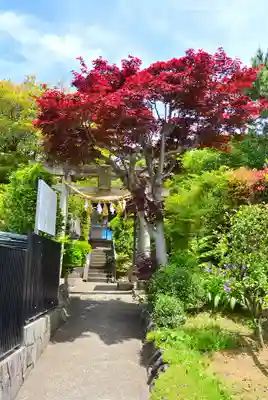 横浜御嶽神社(神奈川県)