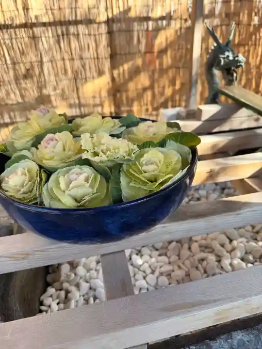 清瀧神社の{uncategorized: "未分類", other: "その他", undefined: "問題あり", building: "その他建物", grave: "お墓", sacred_gate: "鳥居", guardian: "狛犬", statue: "像", buddha: "仏像", history: "歴史", nature: "自然", garden: "庭園", animal: "動物", pagoda: "塔", temizu: "手水舎", mountain_gate: "山門・神門", sanctuary: "本殿・本堂", subordinate: "末社・摂社", art: "芸術", scenery: "景色", jizo: "地蔵", ema: "絵馬", goshuin: "御朱印", omikuji: "おみくじ", items: "授与品その他", amulet: "お守り", goshuincho: "御朱印帳", eats: "食事", festival: "お祭り", votive_dance: "神楽", shichigosan: "七五三参", wedding: "結婚式", experience: "体験その他", initially: "初詣", around: "周辺", anti_infection: "感染症対策"}