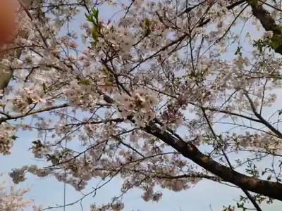 岐阜護國神社(岐阜県)