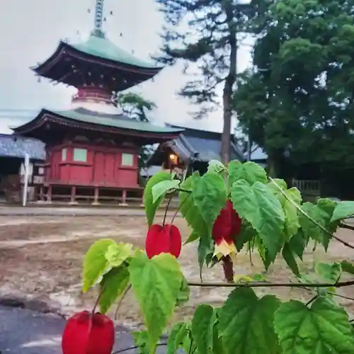 性海寺の塔