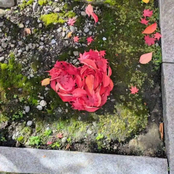 彌彦神社 (伊夜日子神社)(北海道)