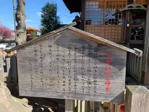 守谷総鎮守 八坂神社(茨城県)
