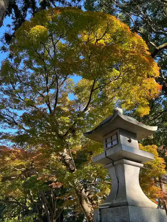 高麗神社(埼玉県)