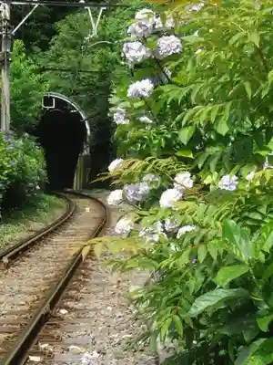 御霊神社の周辺