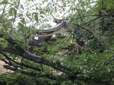 光雲神社(福岡県)