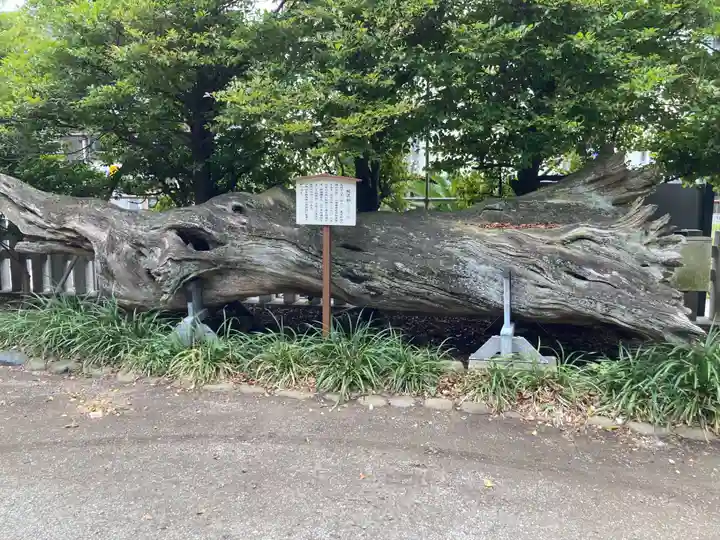 瀬戸神社(神奈川県)