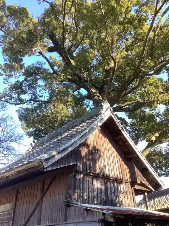 関川社(赤坂町)の自然