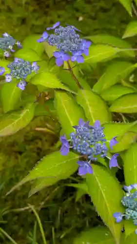 尊陽院(京都府)